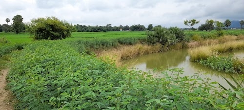 Aghara Barwatta