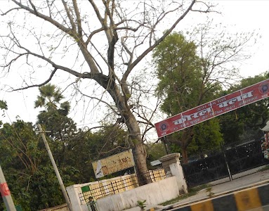 Railway Coral Club