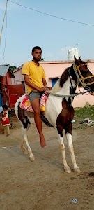 ravesh kumar yadav