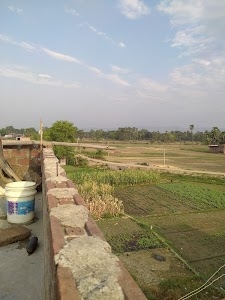 Harnarayanpur dih