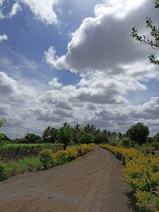 Kokangaon