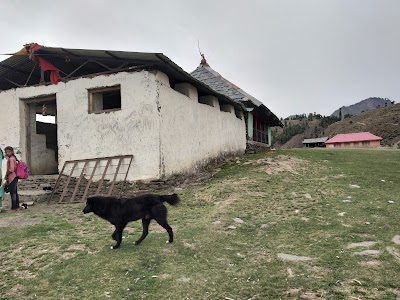 Vasuki Naag Mandir Vashkera