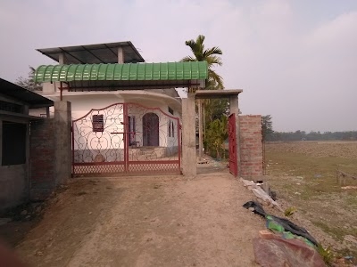Long Life Homoeopathy