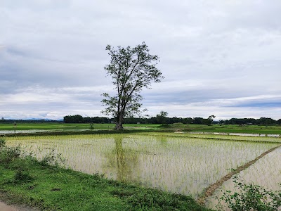 Nowboisa Gaon