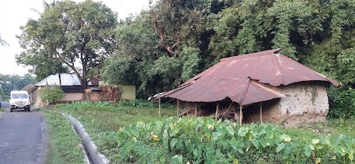 Jabui