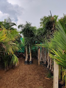 Chintamani Developers