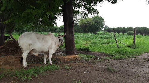 Sant Nagar Extension, Sant Nagar, Burari