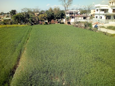 Shiva mandir ,Gorakhpur Chowk,Premnagar , Dehradun.