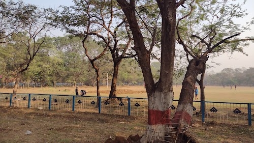 Bhilai Hotel Helipad