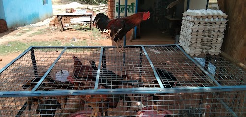 Alam Chiken Shop