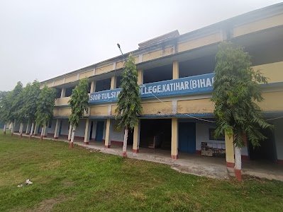 Sur Tulsi Inter College
