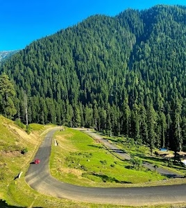 Wildfun Adventure Treks and Tours