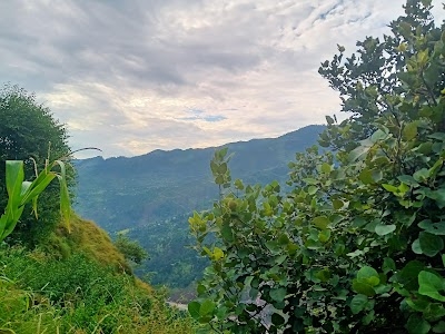 Chassana