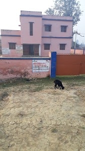 Govt Hospital