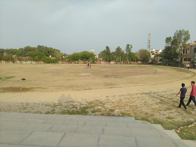 Maharaja Janmejai Stadium, Safidon