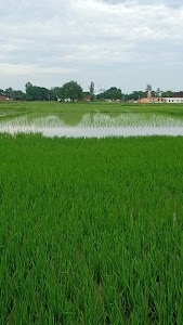 Jay jay bajrangbali Hindu Temple Jamaki