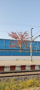 Bhullanpur