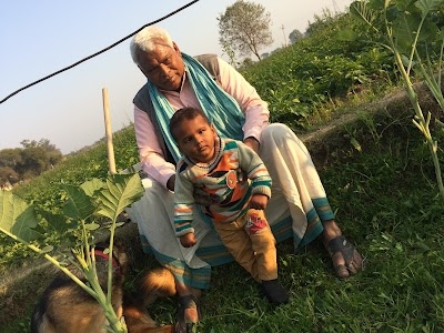 Shree Ramdev Saraswat Farm House Nunera