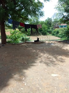 Tajpur Camp