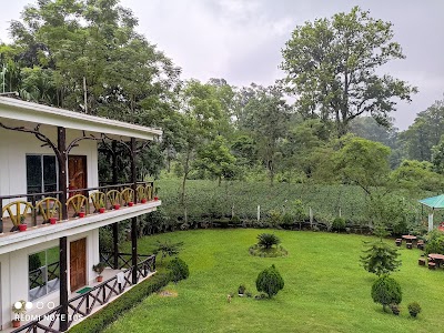 RESORT FOREST IN