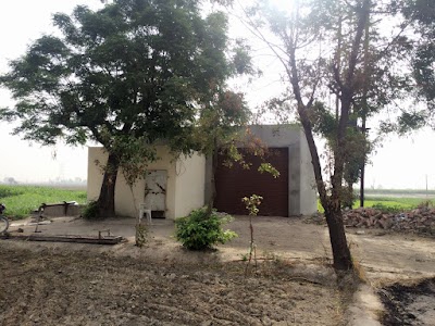 Thind Agro Farm