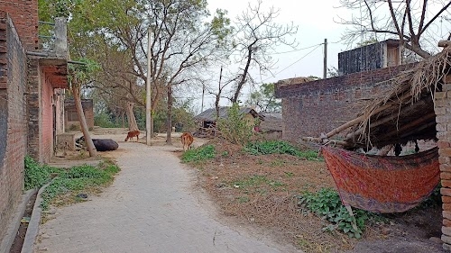 Pure lacchan tiwari surwari sohawal ayodhya