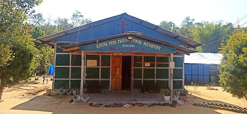 Living Tree Prayer Tower Ministry