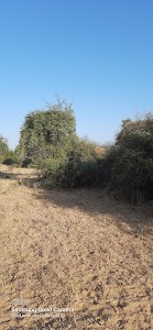 Deogarh