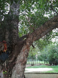 Durga Maa Mandir Batlaiya