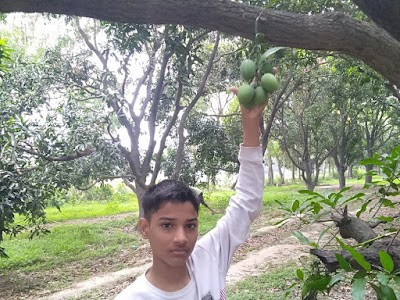 Chandpur Mirza