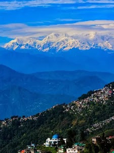 Darjeeling Tea House