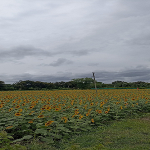 Juganahalli