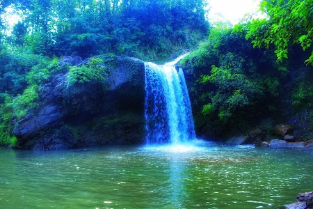 Teliya Jara (Jalprapat)