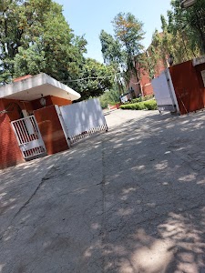 Dara Studio