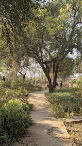Amla Herbal Park
