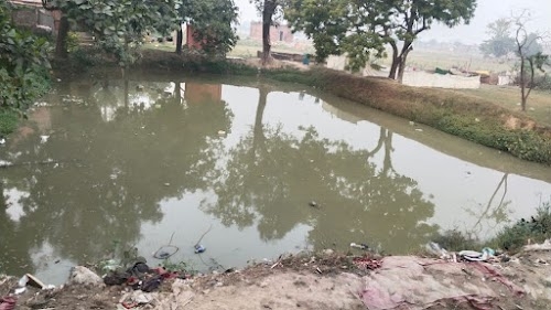 Farmer Culture Fertilizers