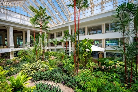 Dusit Thani Pattaya hotel