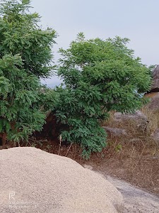 Phulwartangar