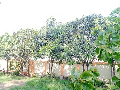 विद्या निकेतन गर्ल्स हाई विद्यालय गेट नं- 1