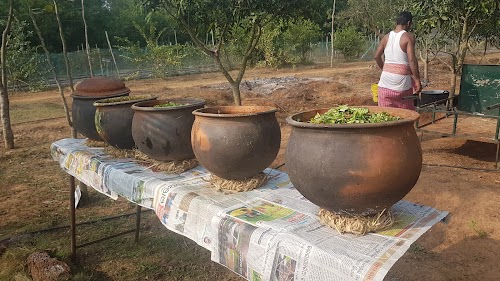 Tritvam Farms