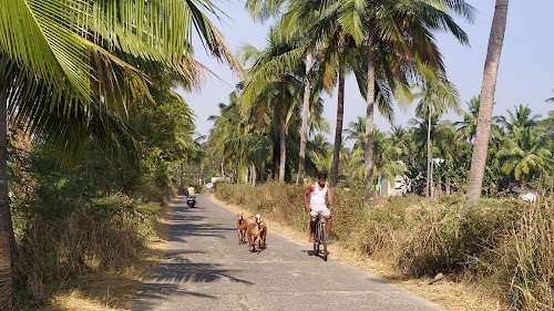 Pahanga