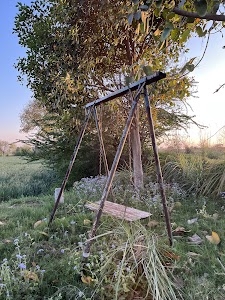 Asaudha