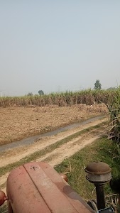 Madhapur Mozampur