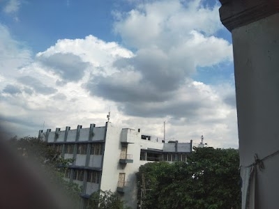 City College
