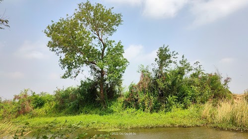 Darbarpur
