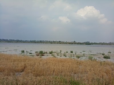 Jhangola