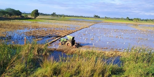 Kamalpur