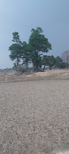 Jataloya