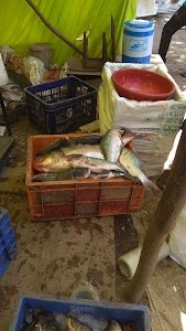 Fish Market Fajalpura