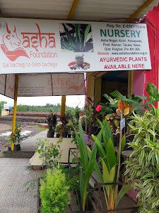 Asha Nursery